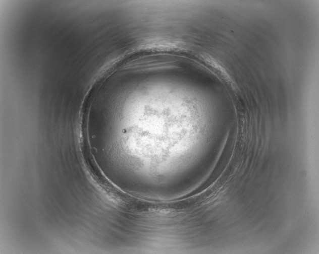 X0000075820582200609291413