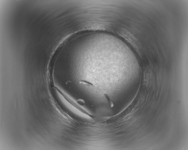 X0000075820584200609291413