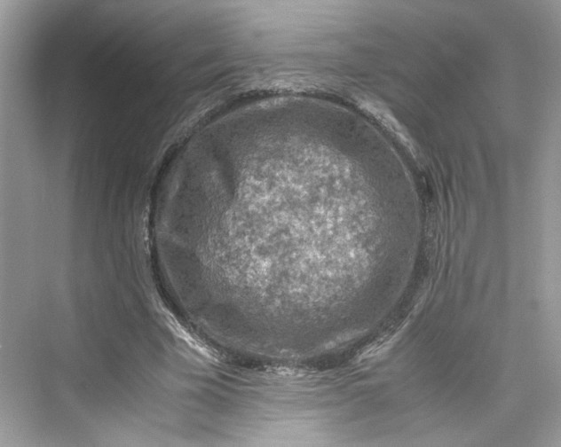 X0000075820585200609291413