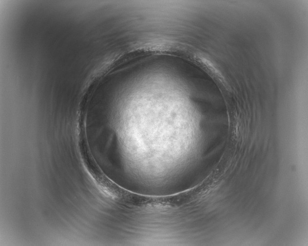 X0000075820586200609291413