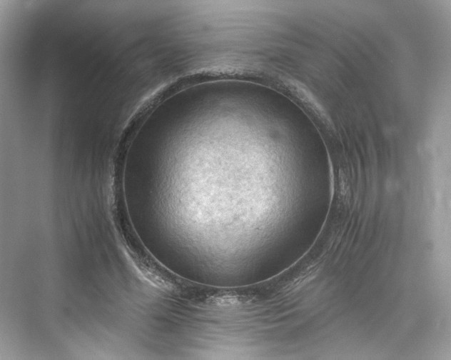 X0000075820588200609291413