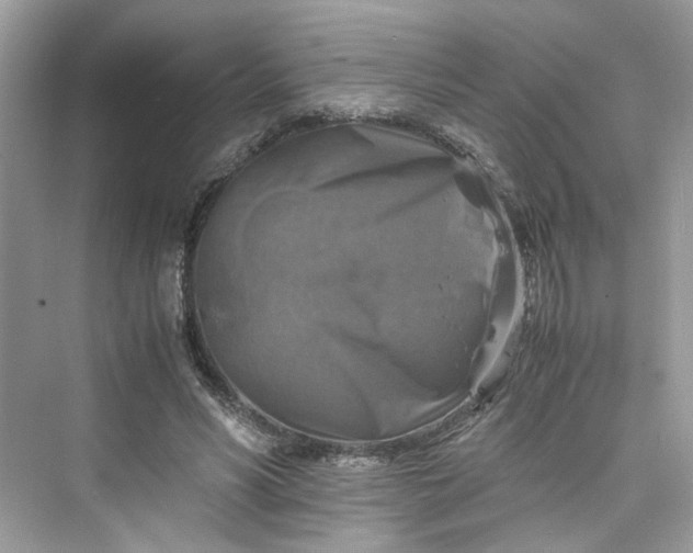 X0000075820590200609291413