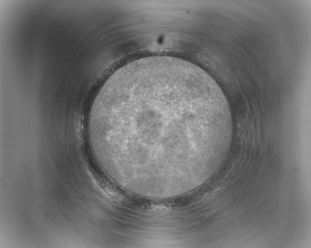 X0000075820592200609291413