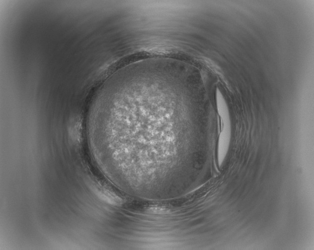 X0000075820596200609291413