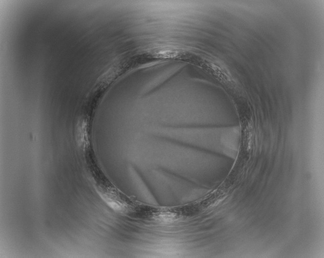 X0000075820598200609291413