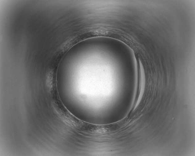 X0000075820600200609291413