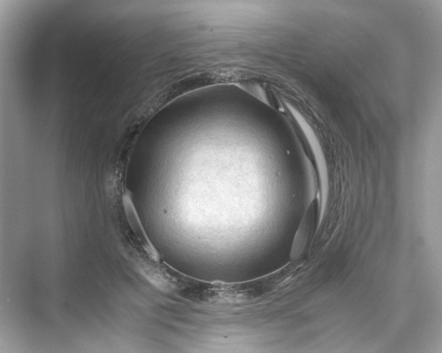 X0000075820601200609291413