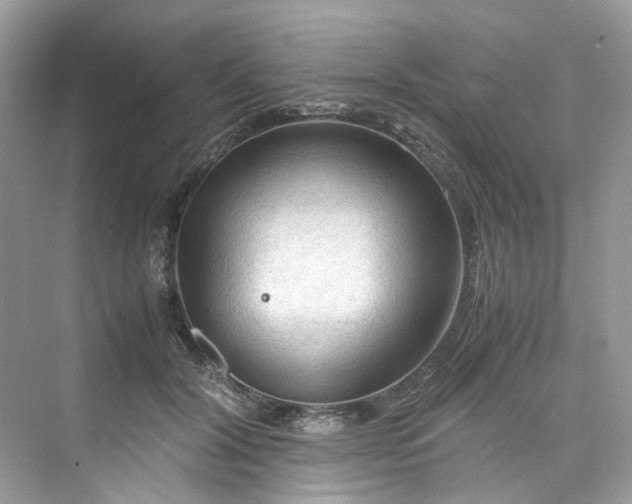 X0000075820604200609291413