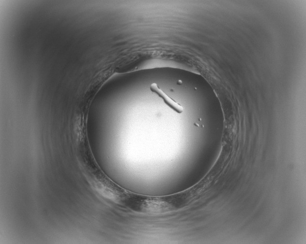 X0000075820605200609291413