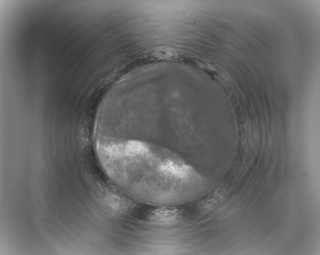 X0000075820606200609291413