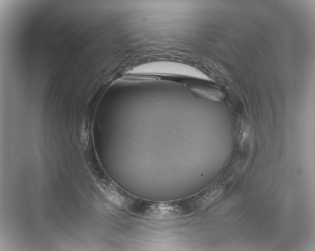 X0000075820607200609291413