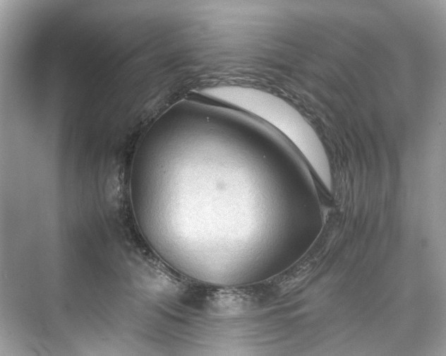 X0000075820608200609291413