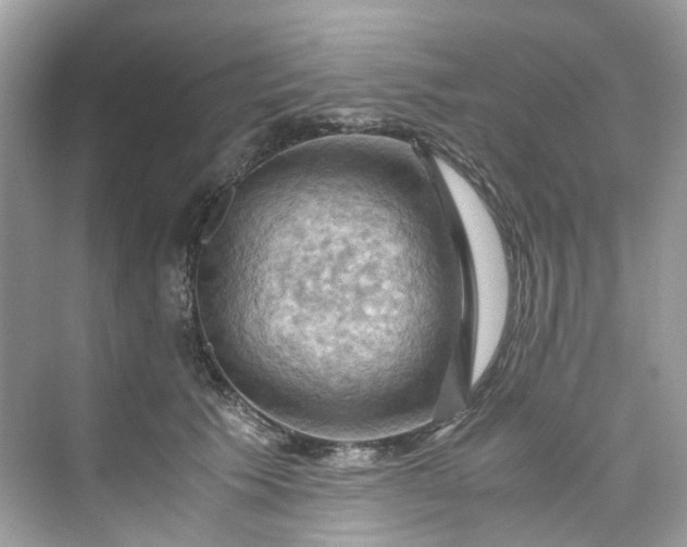 X0000075820609200609291413