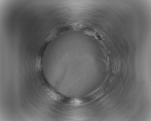 X0000075820610200609291413