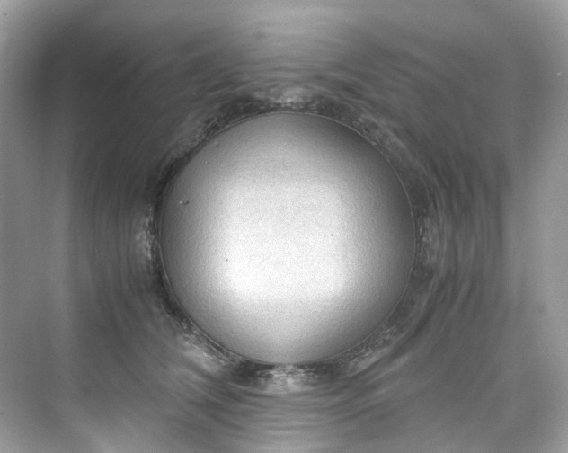 X0000075820612200609291413