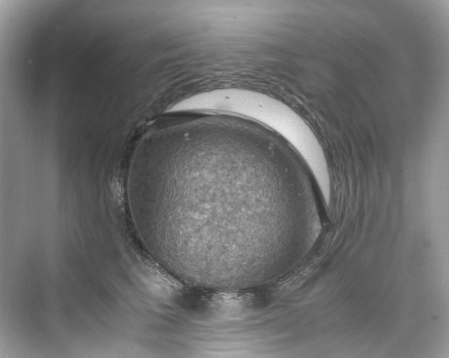 X0000075820613200609291413