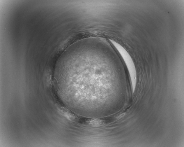 X0000075820615200609291412