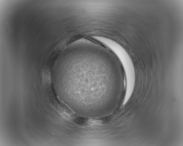 X0000075820617200609291412