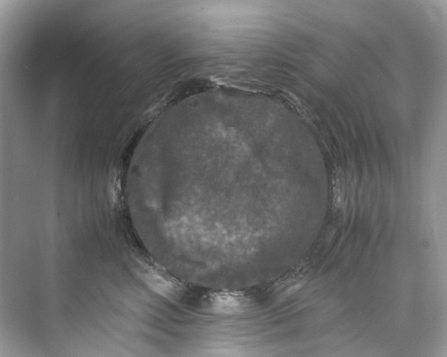 X0000075820618200609291412