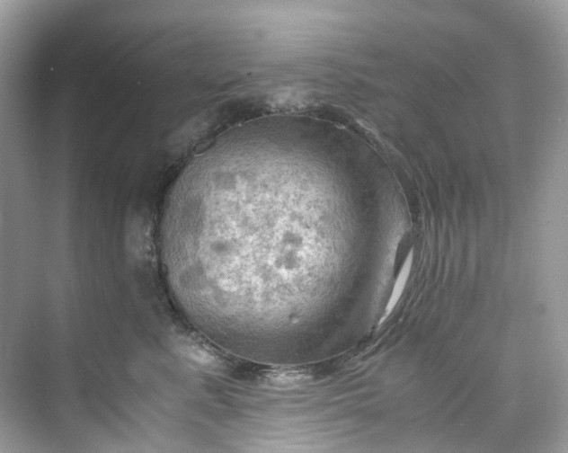 X0000075820619200609291412