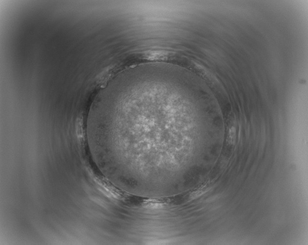 X0000075820620200609291412