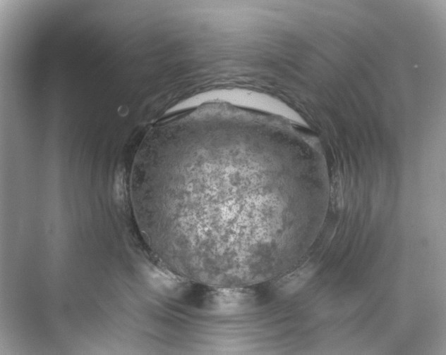 X0000075820623200609291412