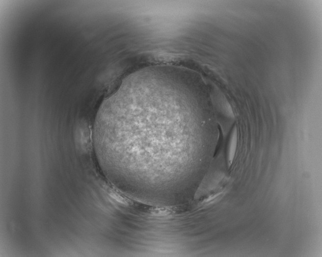 X0000075820624200609291412