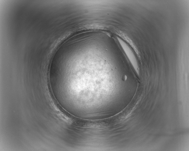 X0000075820625200609291412