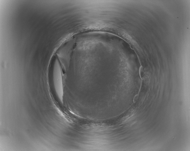 X0000075820626200609291412