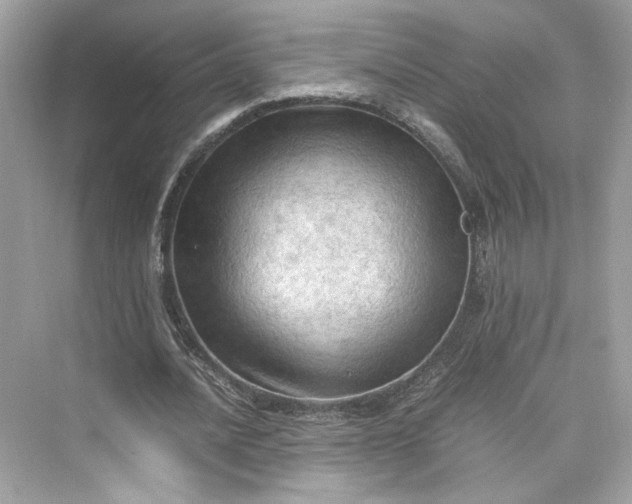 X0000075820628200609291412