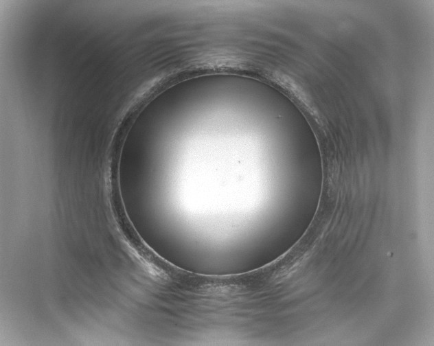 X0000075820629200609291412