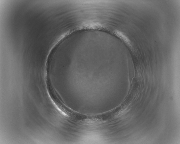 X0000075820630200609291412