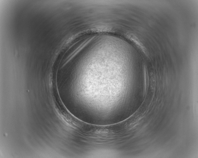 X0000075820631200609291412