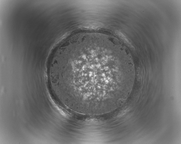 X0000075820634200609291412