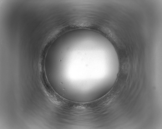 X0000075820635200609291412