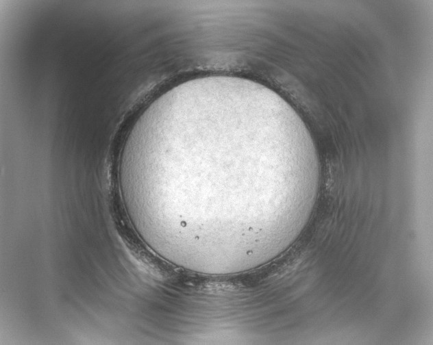 X0000075820636200609291412