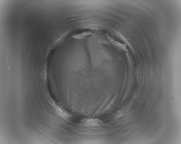 X0000075820637200609291412