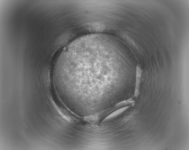 X0000075820638200609291412