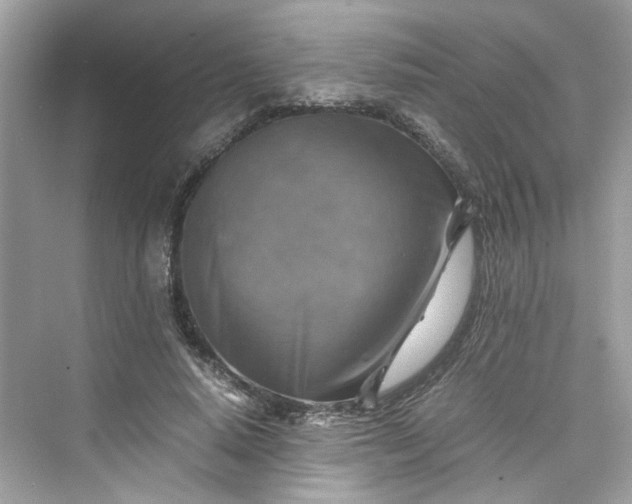 X0000075820640200609291412