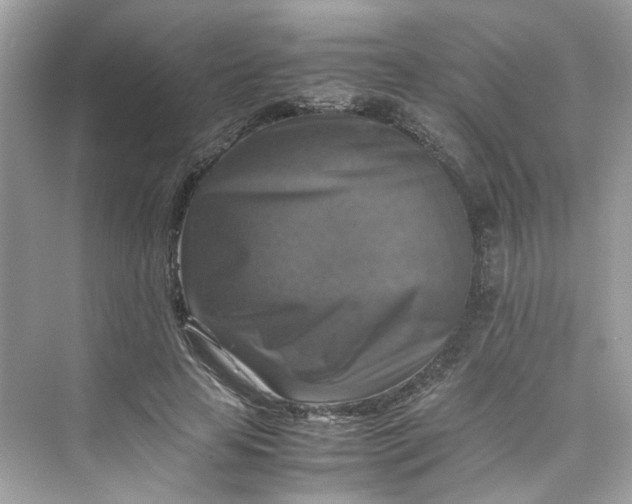 X0000075820641200609291412