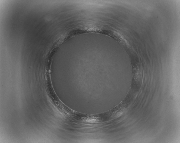 X0000075820643200609291412