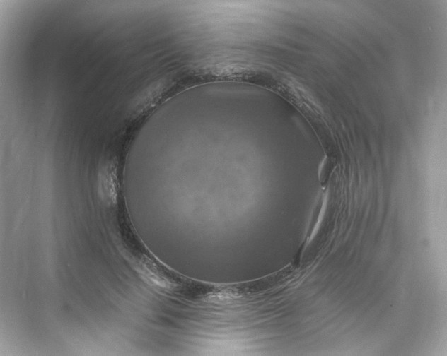 X0000075820644200609291412