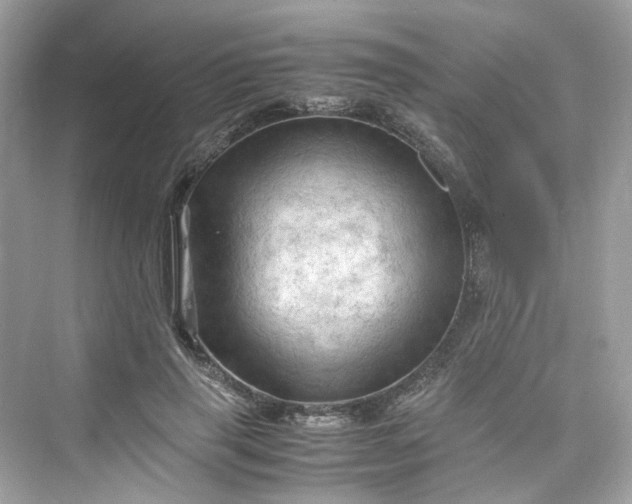 X0000075820645200609291412