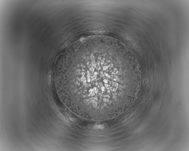 X0000075820647200609291412