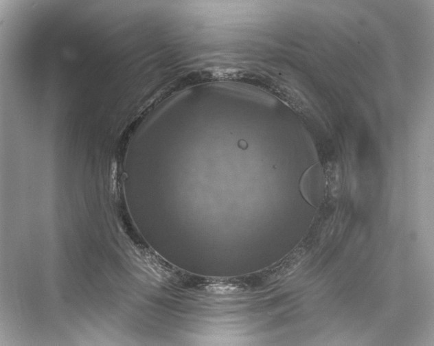 X0000075820650200609291412