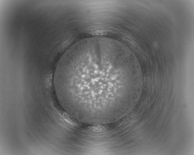 X0000075820652200609291412