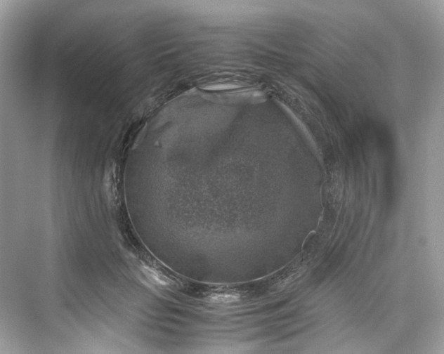 X0000075820653200609291412