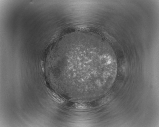 X0000075820658200609291412