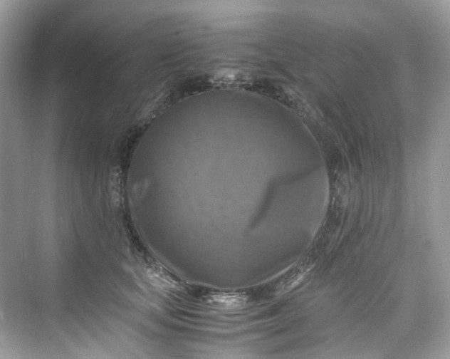 X0000075820659200609291412