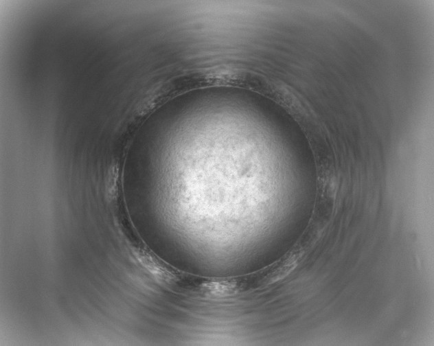 X0000075820660200609291412